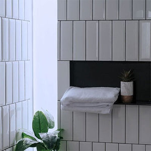 Shower shelves
